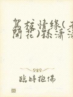 驾校情缘(老树开花)孙潇潇笔趣阁