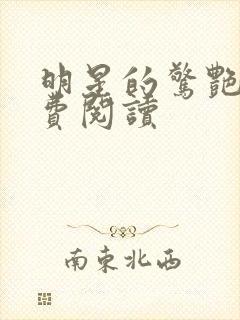 明星的惊艳史免费阅读封面