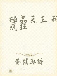极品天王 我本疯狂