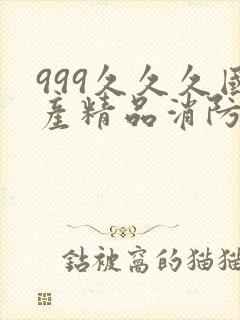 999久久久国产精品消防器材