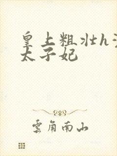 皇上粗壮h灌满太子妃封面