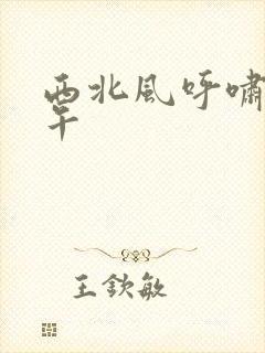 西北风呼啸的中午封面