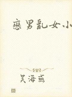 恋男乱女小说封面
