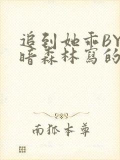 追到她乖BY黑暗森林写的小说