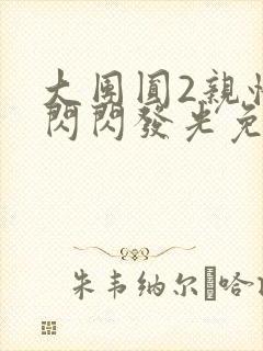 大团圆2亲情会闪闪发光免费