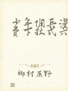 少年佣兵漫画免费下拉式六漫画封面