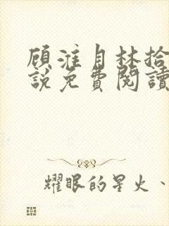 顾淮月林拾安小说免费阅读最新章节