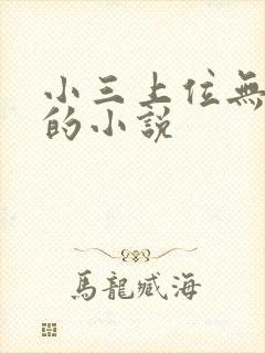 小三上位无三观的小说封面