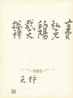 总裁的私有宝贝穆天阳免费