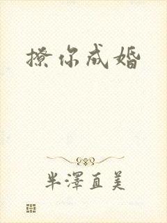 撩你成婚封面