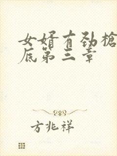 女婿有劲枪枪到底第三章