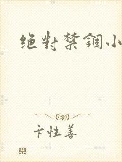 绝对禁锢小说封面