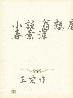 小说 翁想房中春意浓