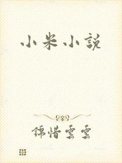 小米小说