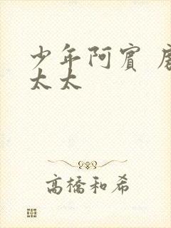 少年阿宾 房东太太封面