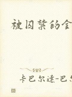 被囚禁的金丝雀封面