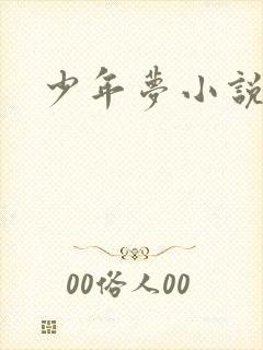 少年梦小说封面