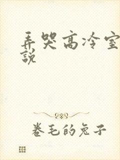 弄哭高冷室友小说