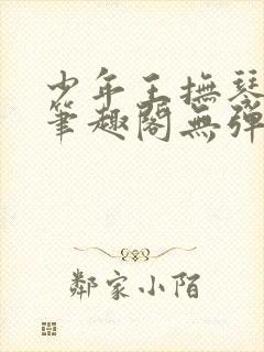 少年王抚琴的人笔趣阁无弹窗