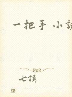 一把手 小说