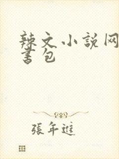 辣文小说网第二书包封面