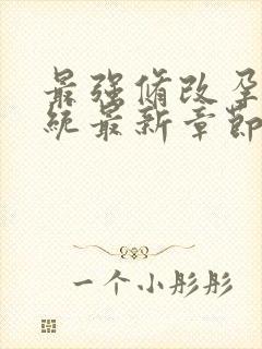 最强修改孕妇系统最新章节