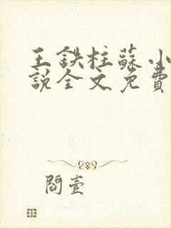 王铁柱苏小汐小说全文免费阅读最新章节