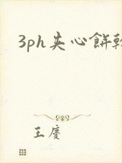 3ph夹心饼干封面