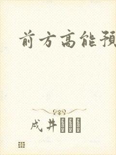 前方高能预警