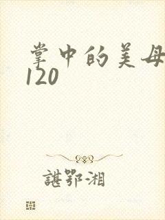 掌中的美母版主120封面