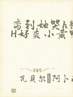 脔到她哭h粗话H好爽小黄鸭视频