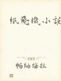 纸飞机小说