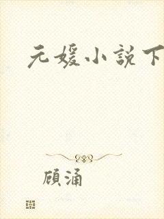 元媛小说下载封面