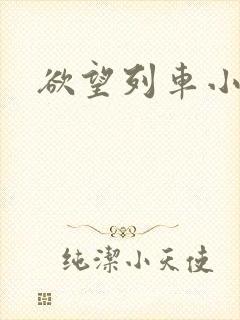 欲望列车小说