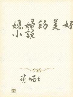 媳妇的美好时代小说