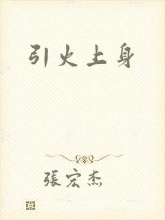 引火上身封面