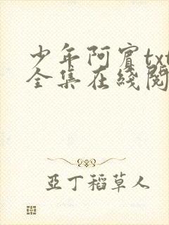 少年阿宾txt全集在线阅读