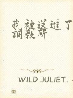 我被送进了私奴调教所