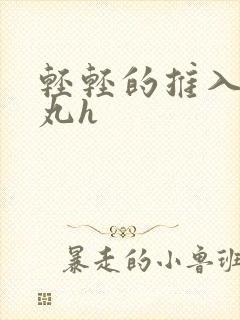 轻轻的推入合欢丸h