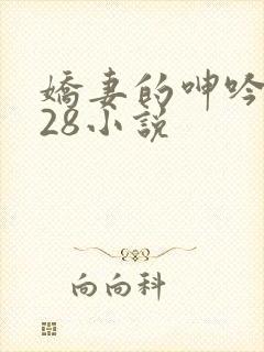 娇妻的呻吟1—28小说