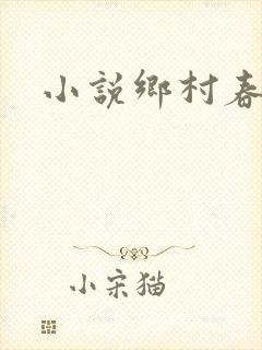 小说乡村春光