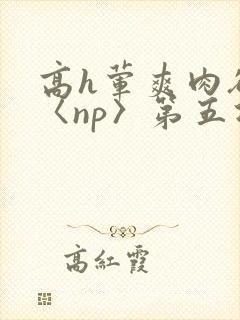 高h荤爽肉欲文〈np〉第五次