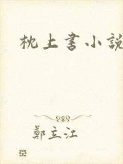 枕上书小说封面