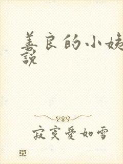 善良的小姨子小说