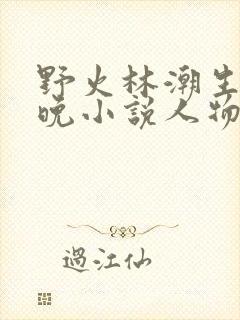 野火林潮生林晚晚小说人物野火