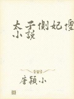 太子侧妃傻乎乎小说