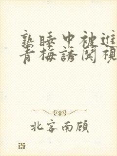 熟睡中被进了H青梅诱哄视频