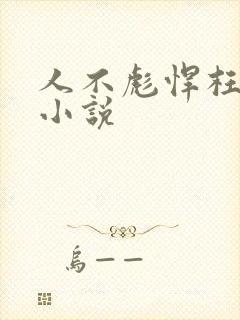 人不彪悍枉少年小说