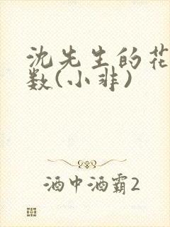 沈先生的花式调数(小非)封面