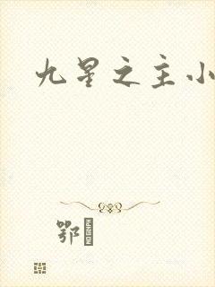 九星之主小说